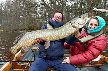 Actualités pêche Irlande